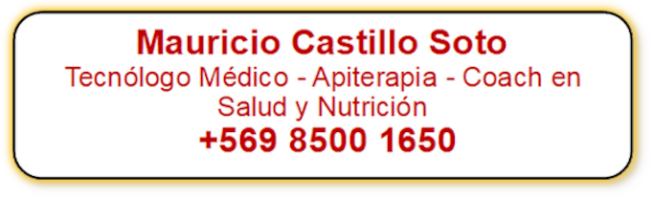 Mauricio Castillo Soto