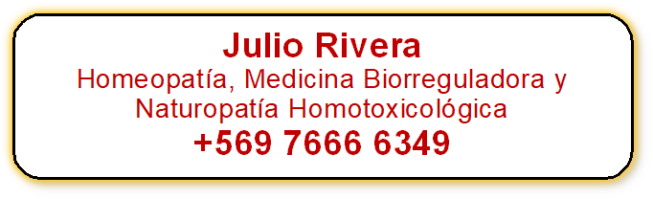 Julio Rivera